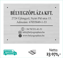Kép betöltése a galériamegjelenítőbe: Cégtábla ezüst bélyegzőpláza